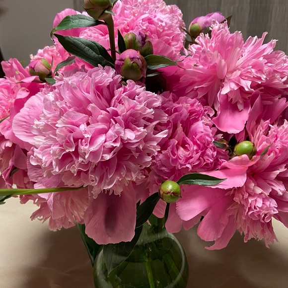 Meet your Posher, Mary - Picture 1 of 1